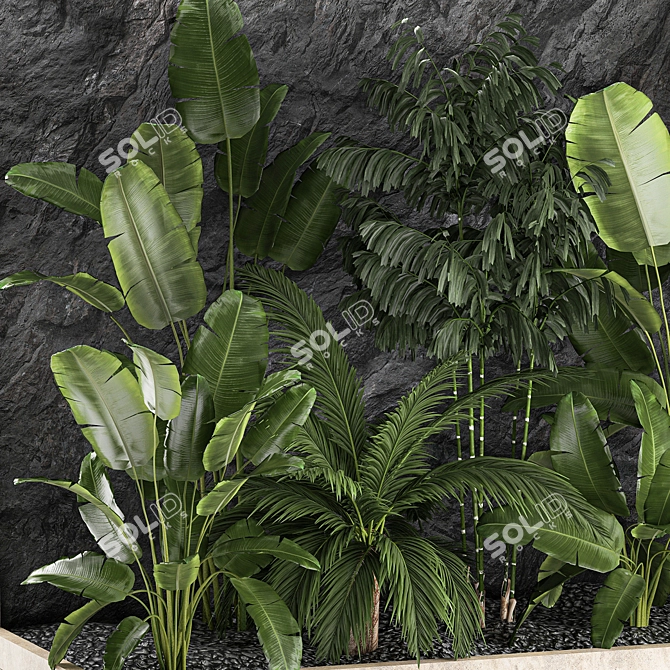 Exotic Tropical Plant Set 3D model image 5