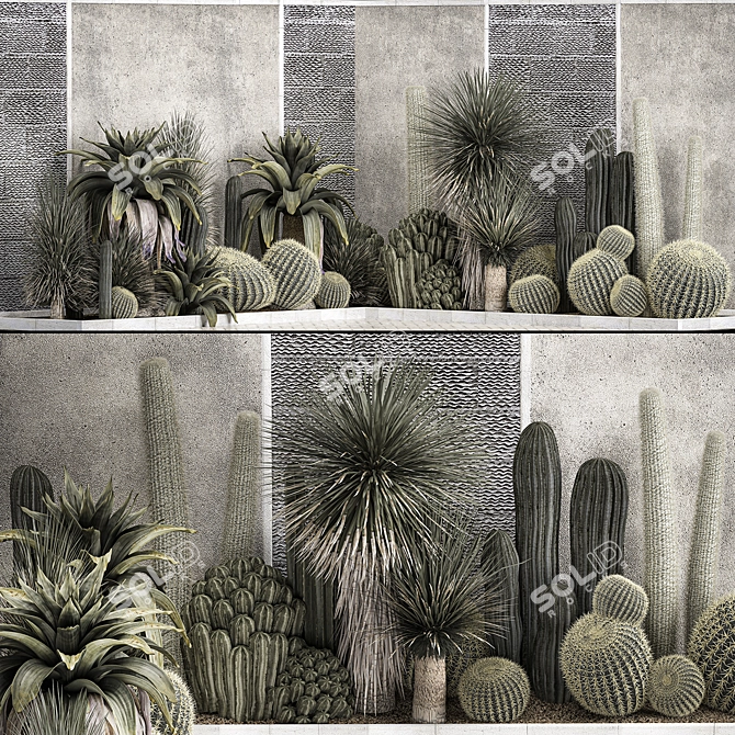 Exotic Desert Plant Collection 3D model image 1