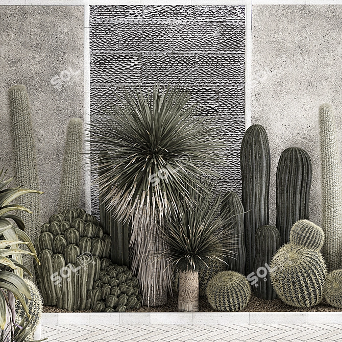 Exotic Desert Plant Collection 3D model image 3