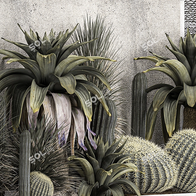 Exotic Desert Plant Collection 3D model image 5