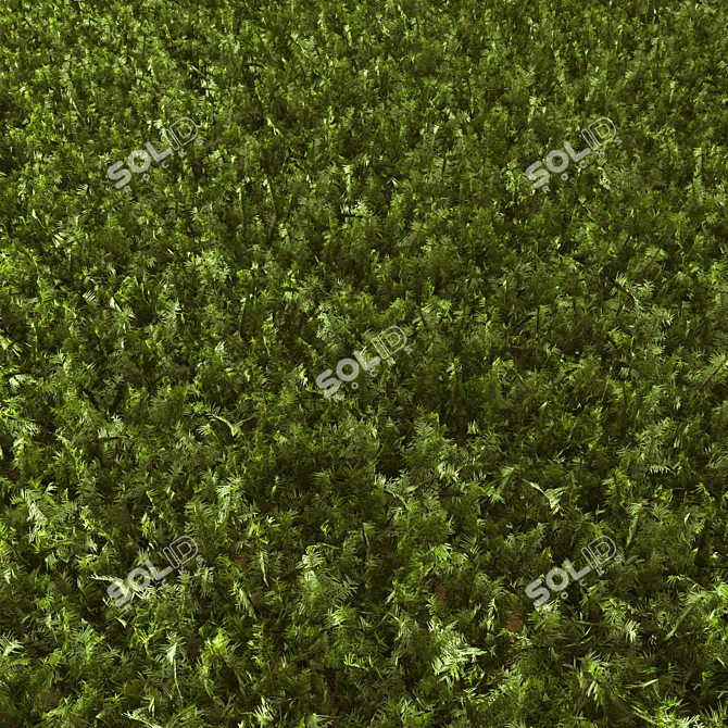 Grassy Textured Polygon Model 3D model image 1