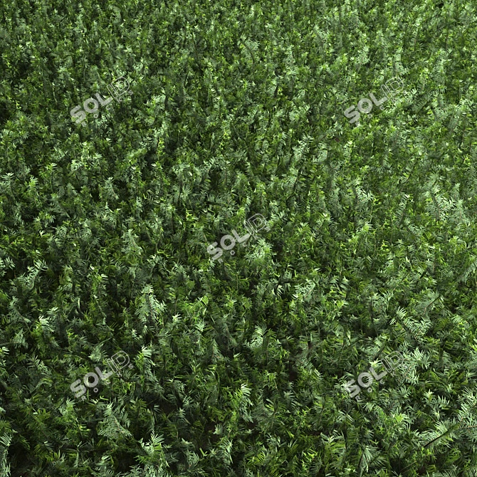 Grassy Textured Polygon Model 3D model image 2