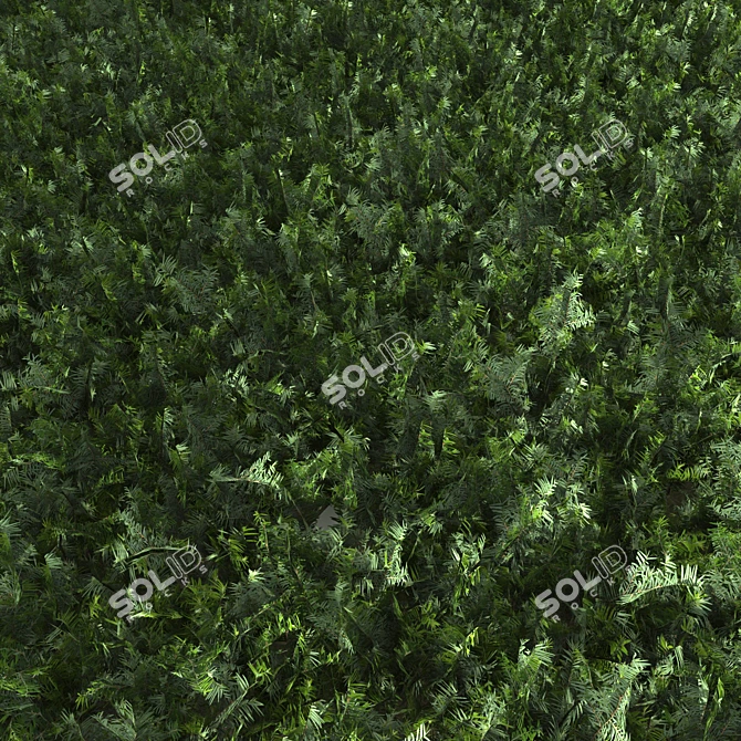 Grassy Textured Polygon Model 3D model image 3