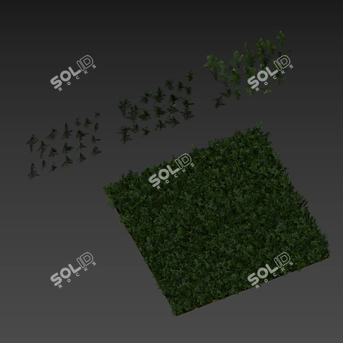 Grassy Textured Polygon Model 3D model image 4