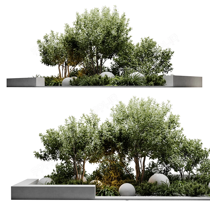 Lush Outdoor Plants Display 3D model image 4