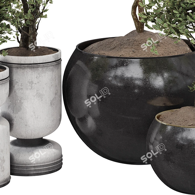 Decorative Bonsai Tree Collection 131 3D model image 6