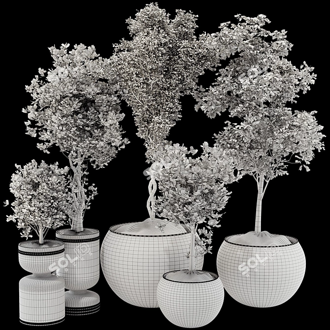 Decorative Bonsai Tree Collection 131 3D model image 7