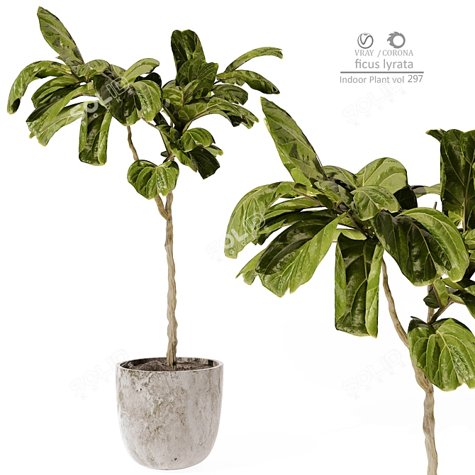 Modern Indoor Plant 3D Model 3D model image 1