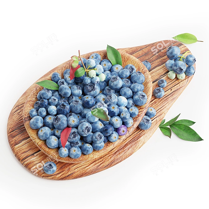 Blueberry 3D Model Kit Kit 3D model image 1