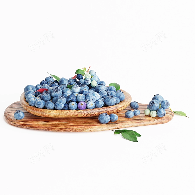 Blueberry 3D Model Kit Kit 3D model image 3