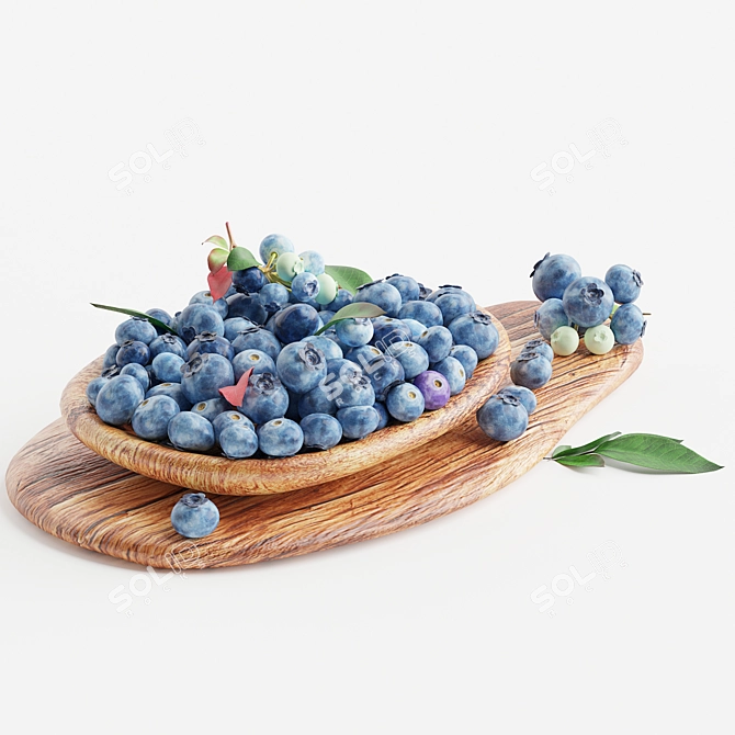 Blueberry 3D Model Kit Kit 3D model image 6