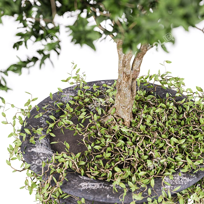 Concrete Pot Greenery Planter 3D model image 3