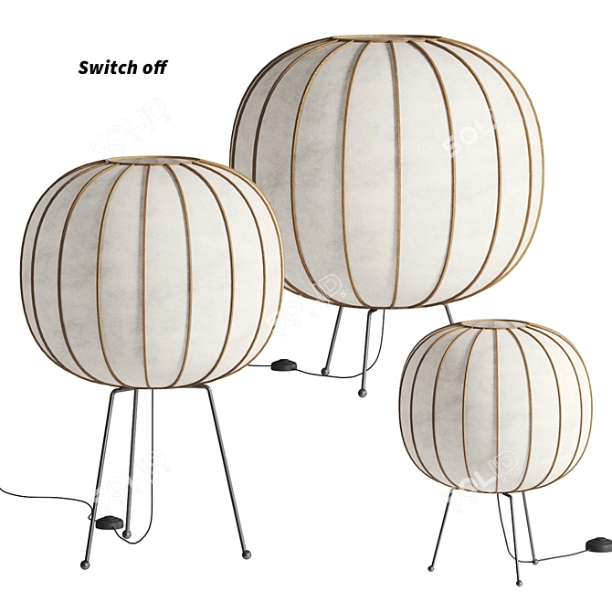 Bombori Fl Pendant Light Fixture 3D model image 2