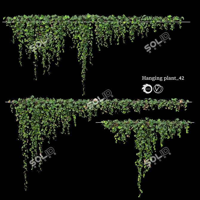 Triple Hanging Plant Collection 3D model image 1