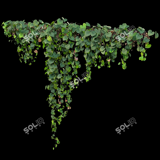 Triple Hanging Plant Collection 3D model image 4