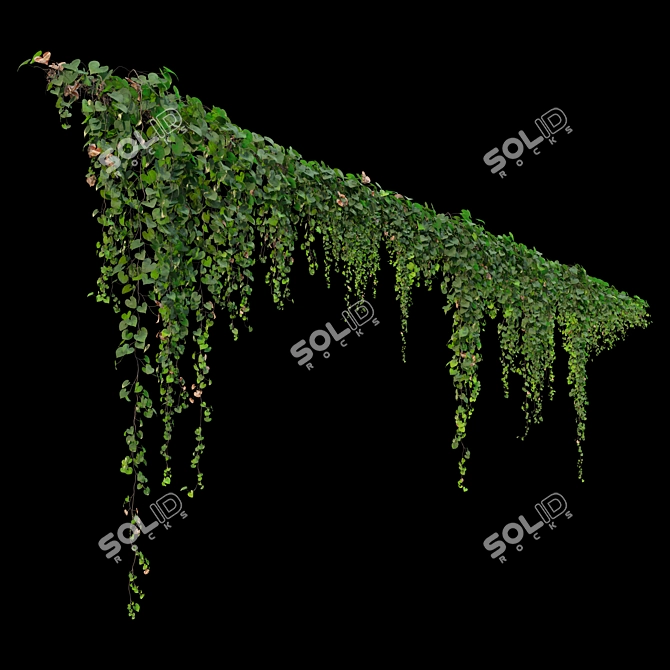 Triple Hanging Plant Collection 3D model image 5