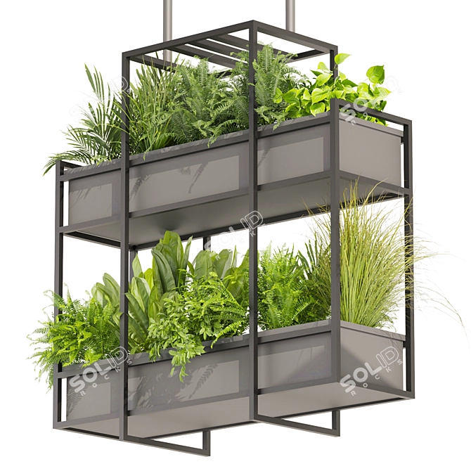 High-Quality Hanging Ampelous Plant 3D model image 4