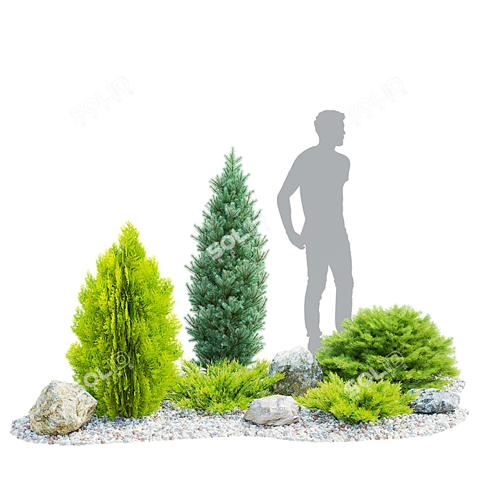 Alpine Conifer Hill Scene Kit 3D model image 2