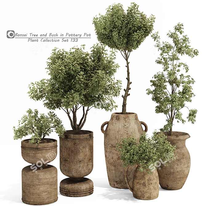 Handcrafted Bonsai Bush Pottery 133 3D model image 1