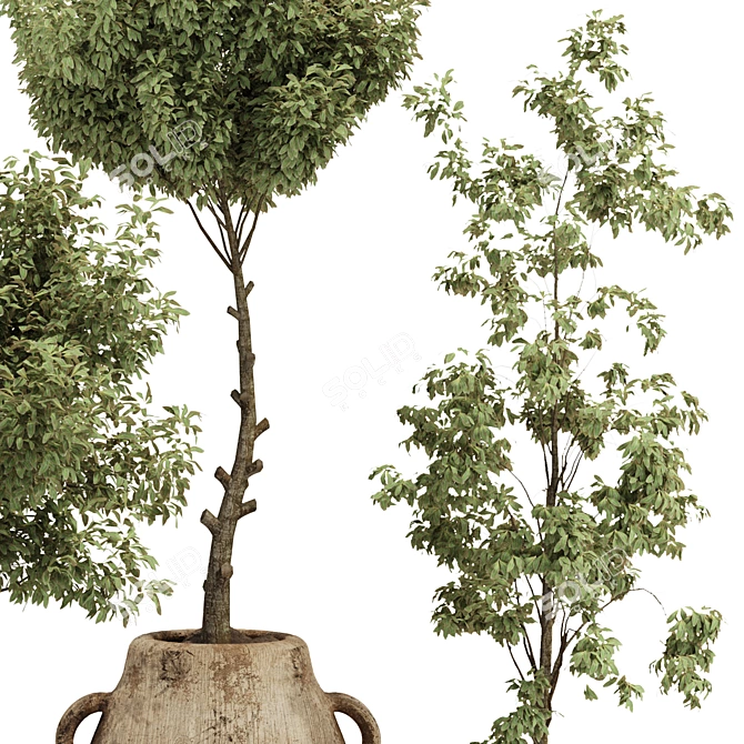 Handcrafted Bonsai Bush Pottery 133 3D model image 4