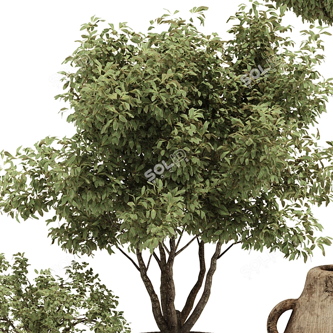 Handcrafted Bonsai Bush Pottery 133 3D model image 5