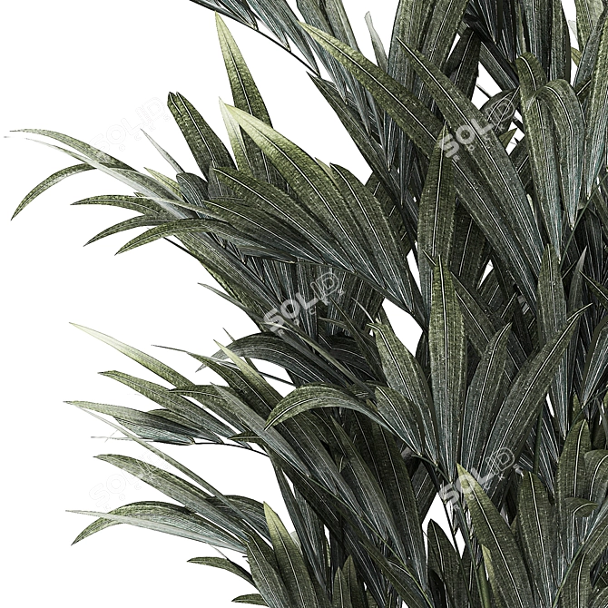 Exotic Tropical Palm Decor 3D model image 2