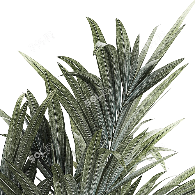 Exotic Tropical Palm Decor 3D model image 6