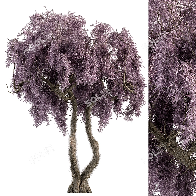 Vibrant Purple Wisteria Tree Set 3D model image 1