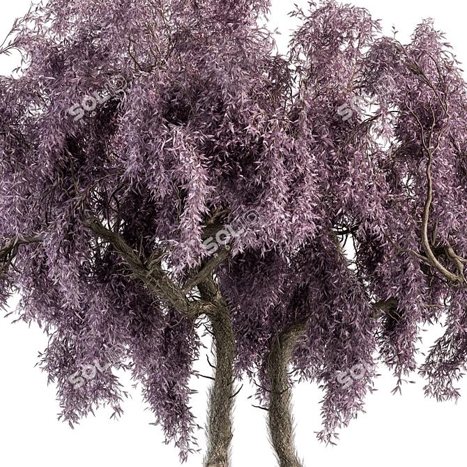 Vibrant Purple Wisteria Tree Set 3D model image 2