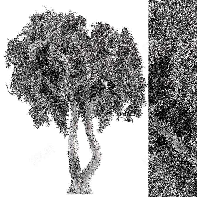 Vibrant Purple Wisteria Tree Set 3D model image 3