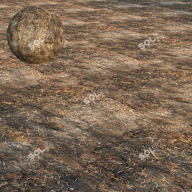 Seamless Texture Set with Maps 3D model image 1