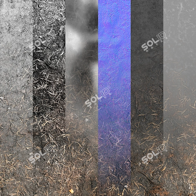 Seamless Texture Set with Maps 3D model image 3