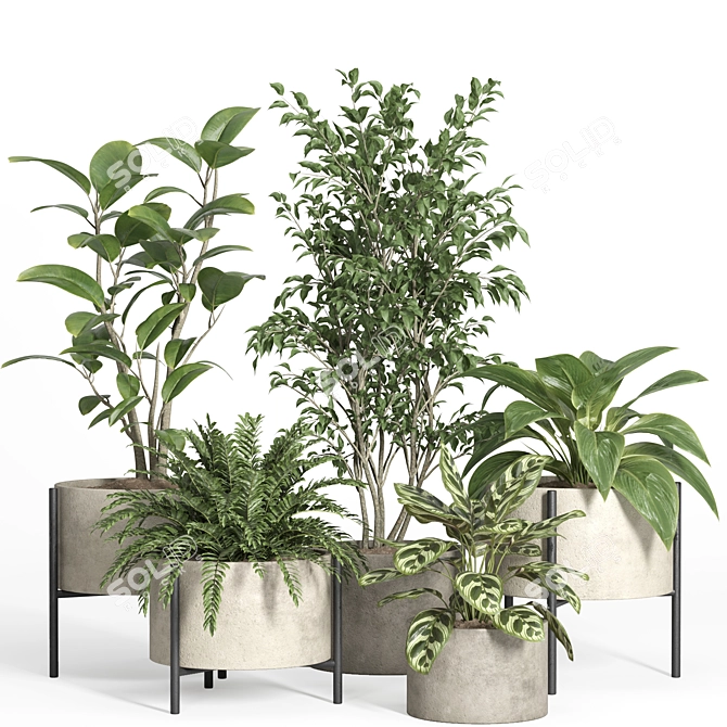 52-Piece Indoor Plant Set 3D model image 1