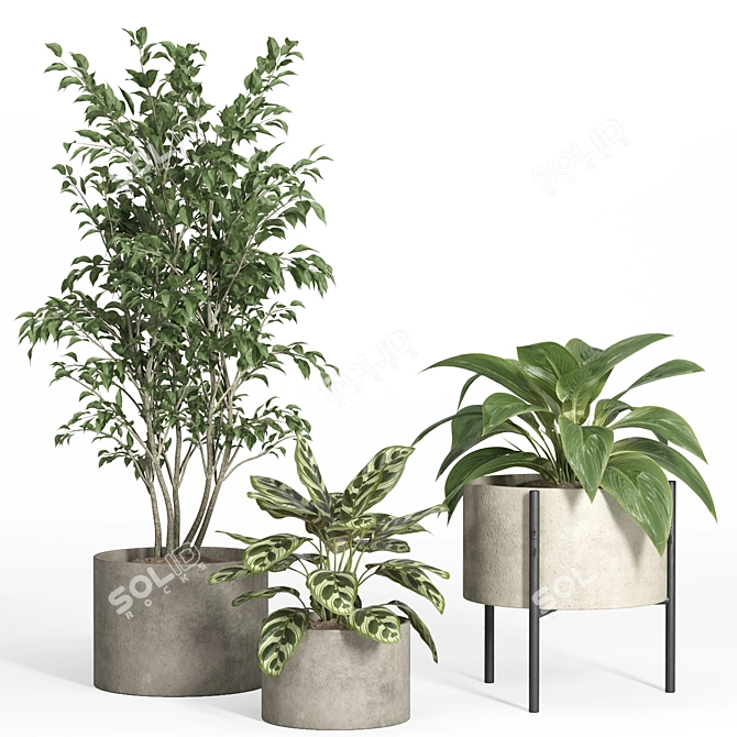 52-Piece Indoor Plant Set 3D model image 2