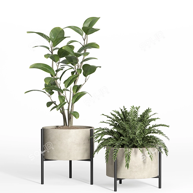 52-Piece Indoor Plant Set 3D model image 3