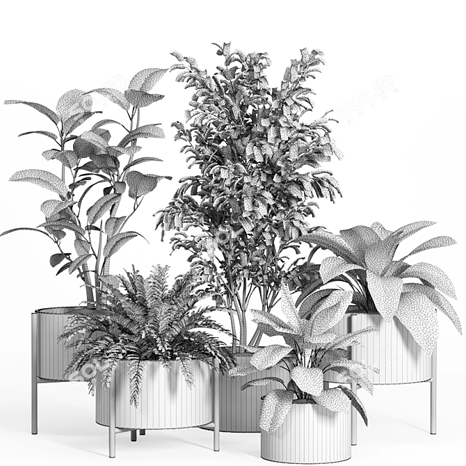 52-Piece Indoor Plant Set 3D model image 4