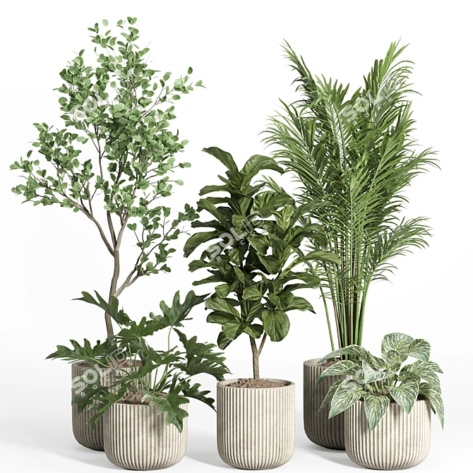 Modern Concrete Indoor Plant Set 3D model image 1