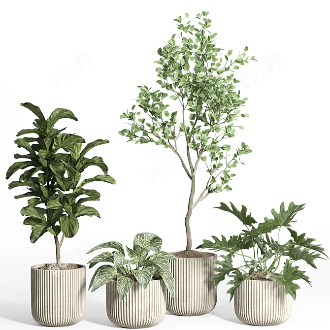 Modern Concrete Indoor Plant Set 3D model image 2