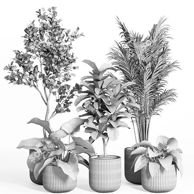 Modern Concrete Indoor Plant Set 3D model image 3