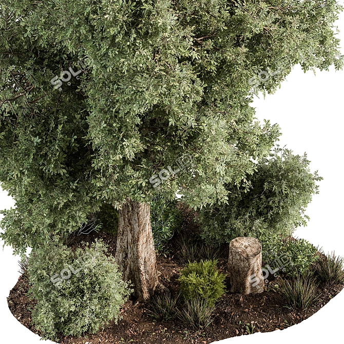 Outdoor Plant Set - Variety 3D model image 2