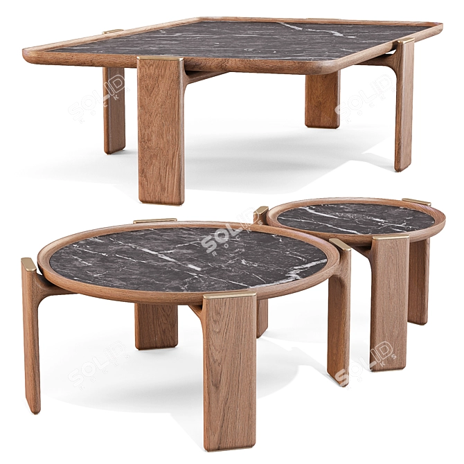 Luxury DUO Coffee Tables Set 3D model image 1