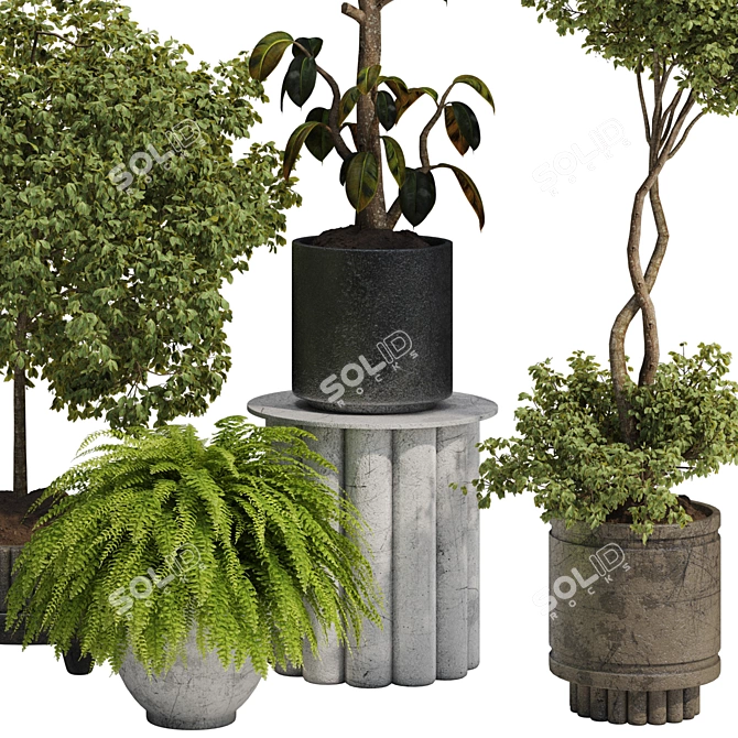  Max 2015 Indoor Plant Set 3D model image 4
