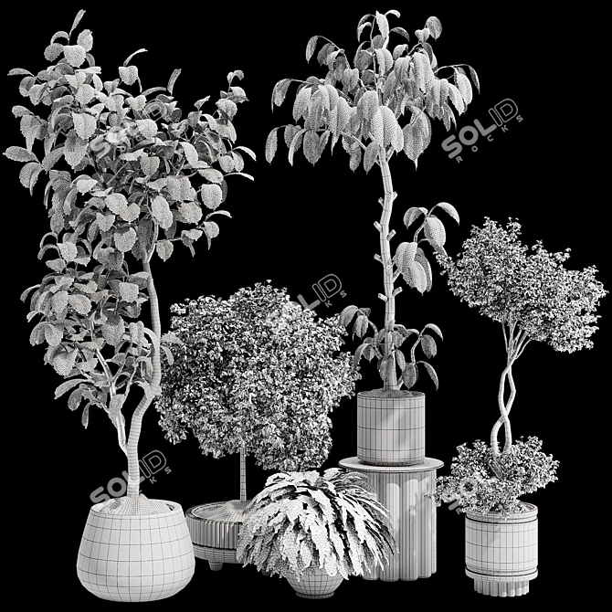  Max 2015 Indoor Plant Set 3D model image 7