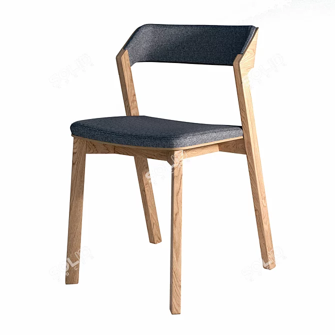 Tohma Scandinavian Style Lion-M Chair 3D model image 4