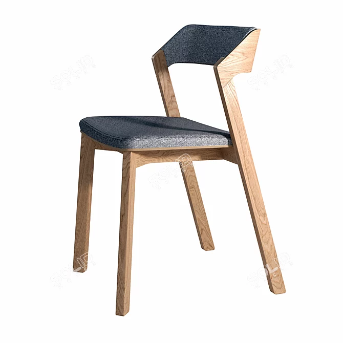 Tohma Scandinavian Style Lion-M Chair 3D model image 5