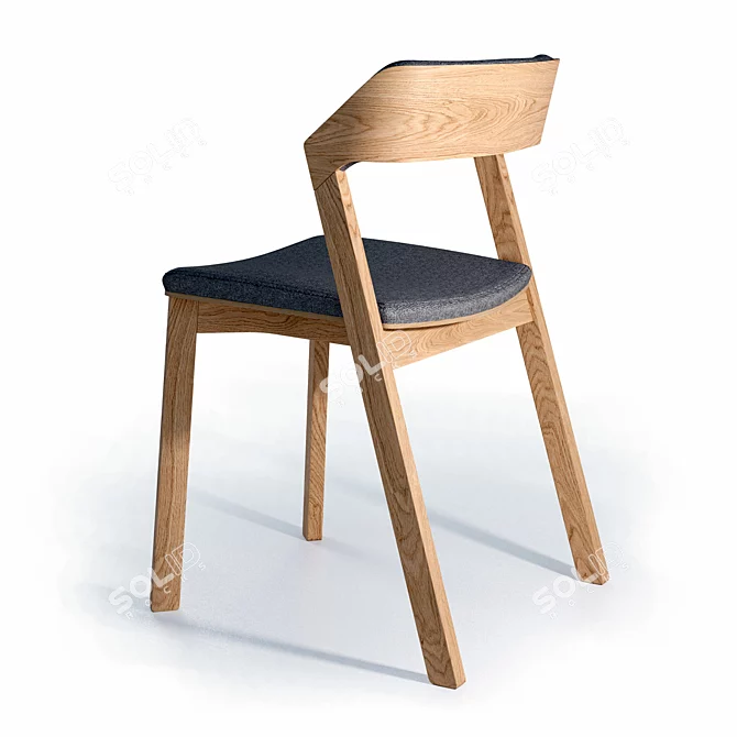 Tohma Scandinavian Style Lion-M Chair 3D model image 6