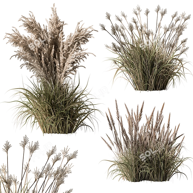 Assorted Tall Grass Collection - Set 22 3D model image 1