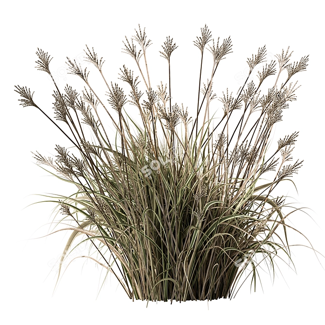 Assorted Tall Grass Collection - Set 22 3D model image 2