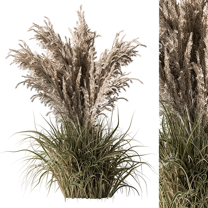 Assorted Tall Grass Collection - Set 22 3D model image 3