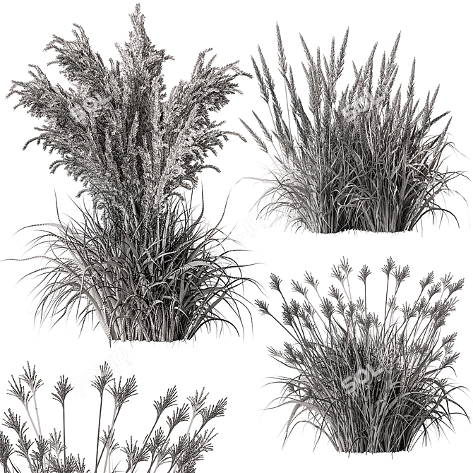 Assorted Tall Grass Collection - Set 22 3D model image 5